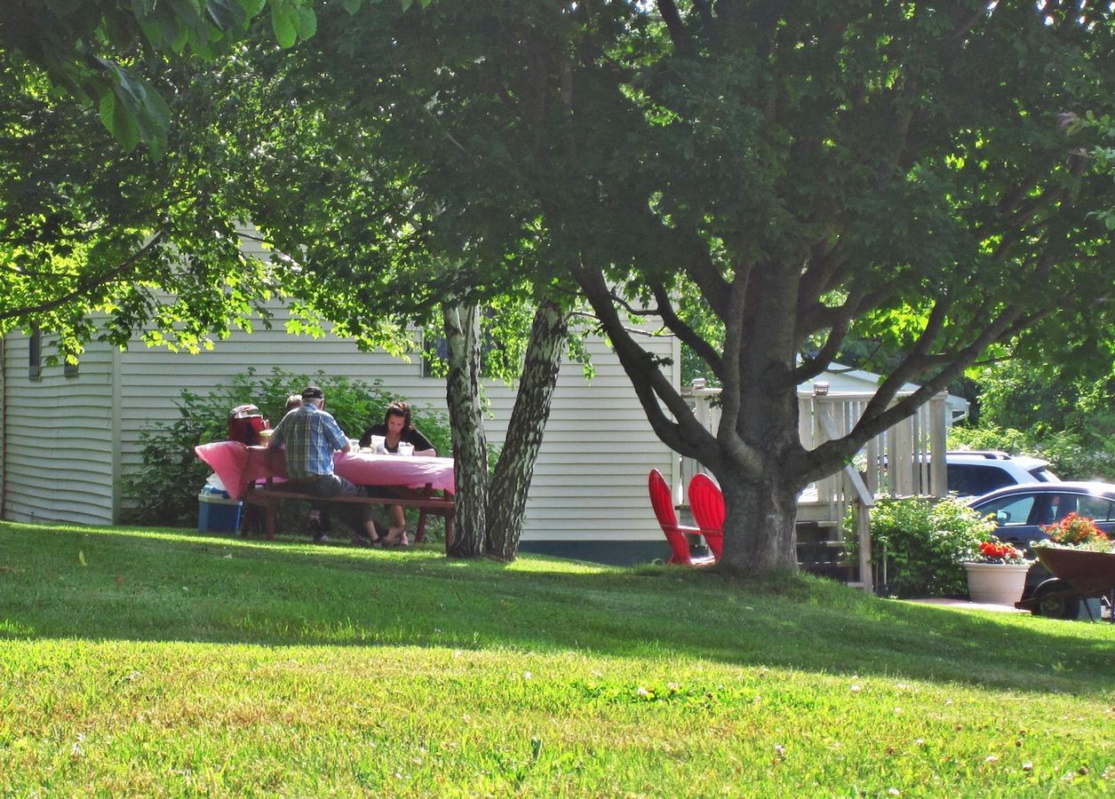 Basinview Motel Smiths Cove 외부 사진